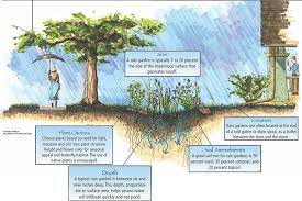 Rain Garden Design Rain Garden Design Rain Garden Benefits Of Gardening