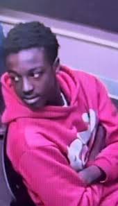 Atlanta mayor: 2 officers fired in 'excessive force' arrests