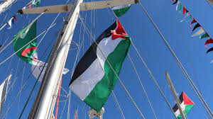 Une élue communiste a été arrêtée sur la Flotille pour Gaza, Roussel demande sa libération