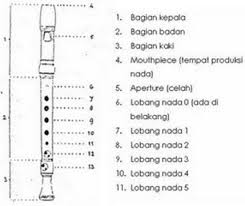 Contoh dari musik ansambel campuran antara lain yaitu gitar, rekorder, pianika, triangel, simbal dan juga tamborin. Pengertian Dan Contoh Musik Ansambel Cara Memainkan Pianika Recorder Dan Tuts Pianika Budaya Nusantara