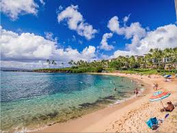 Maui Snorkel Report - The Snorkel Store