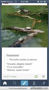 Aidan Mortimer (aidanmortimer)