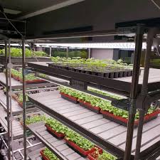 V Farm On Instagram Our Vf 5222 F D Flood And Drain Systems Are Looking Good In The Controlled Environment Chamber Indoor Farming Urban Farming Hydroponics