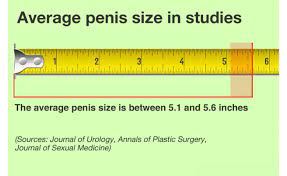 Human penises vary in size on a number of measures, including length and circumference when flaccid and erect. What Is The Average Size Of A Penis In Asia Quora