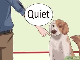 Barking at guests can be a frustrating habit to break, but have patience and remember to keep your dog's emotional state in mind. 5 Ways To Get Dogs To Stop Barking Wikihow