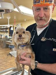 We'd like to introduce you to Grover, our charming TPLO patient who was a  perfect gentleman. Speedy recovery , Grover!