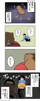 その１】猫の腎臓病…ストレス…そのすべてを払拭するために - ウッドブック