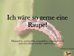 Lustige sprüche, witzige sprüche, coole sprüche gesucht? Lustige Spruche Und Weisheiten