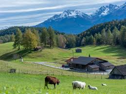 13, camera s 01, sector 3, bucurești (registratura centralei cec bank) direct în agențiile cec bank: 200 000 Euro Fonduri Europene Nerambursabile Prin Pndr 6 4 Indais Media Business