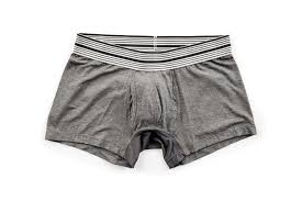 The Best Underwear Mr Davis Stretch Bamboo Boxer Briefs