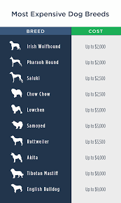 Pet Ownership Costs Guide For 2019 The Simple Dollar