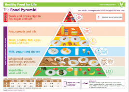 Последние твиты от food circle (@foodcircleuk). Food Pyramids Plates And Guides Building A Balanced Diet