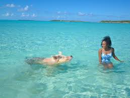 On A Budget Here Are 5 Free Things To Do In Nassau Bahamas Honeymoon Bahamas Travel Bahamas Vacation