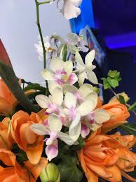 教會插花服侍 2019年10月13日主題 天上的敬拜 flowers plants