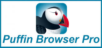 Review puffin release date, changelog and more. Free Download Puffin Pro Browser Apk