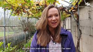 Maybe you would like to learn more about one of these? Starting Scottish Cut Flowers Youtube