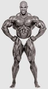 Arnold Schwarzenegger Vs Ronnie Coleman Motivation - How The G.O.A.T.S  Train - Youtube
