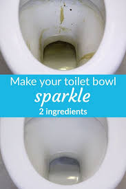 Natural Toilet Bowl Cleaner Diy In 2020 Toilet Bowl Cleaner Diy Eco Cleaning Toilet Cleaning