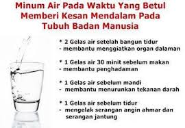 Dalam keadaan yang panas, memang nikmat kalau dapat minum air manis berais dan sejuk. Missue Eyrra Zerra Kelebihan Minum Air Kosong
