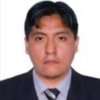 20+ "David Condori Mamani" profiles