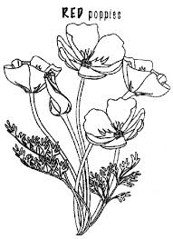 Check spelling or type a new query. Red Poppy Coloring Page Color Luna