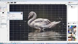 How To Stretch Squash And Or Compress An Image In Gimp Youtube