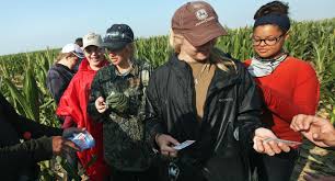 Gil Carandang - Happy Weekend! Let'S Revisit The Q&A About The Sweet Corn  Harvest At Herbana Farms Of Mr. Gil Carandang. We Asked Mr. Carandang: What  Is The Method Of Detasseling Corn,