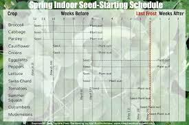 Most plants only need to be watered once or twice a week, and less during the winter months. Spring Indoor Seed Starting Schedule Free Printable Northern Homestead