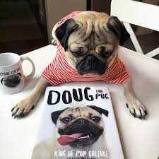 Maybe you would like to learn more about one of these? Dogs Of Influence The Popularity Of Social Media Pets Pet Age