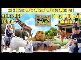 Berapa harga tiket masuk ke medan zoo pada tahun baru 2019?? Zoo Melaka Malaysia After Pandemic Covid 19 2020 L Banyak Haiwan Tak Ada Youtube