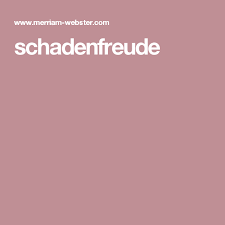 Definition Of Schadenfreude Definitions Lexicon Vocabulary