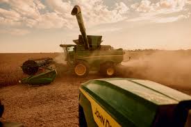 Image result for tbn:cRxpWML3C6TQFM::farm3.static.flickr.com/2382/2420623259_e3c8cd4fd8.jpg