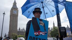 Stop Brexit Steve' issues 5-word EU warning | Politics | News |  Express.co.uk