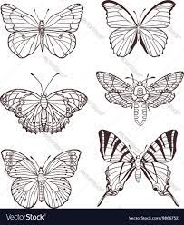 Set Of Hand Drawn Butterflies Download A Free Preview Or High Quality Adobe Illustrator Ai Eps Pdf And Hig Butterfly Drawing Butterfly Art How To Draw Hands