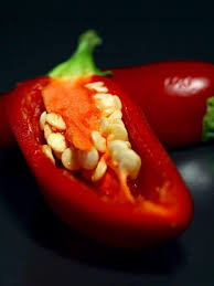 Best fertilizer for pepper plants. Pepper Seeds Not Sprouting 5 Secrets For Faster Germination Greenupside