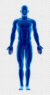 Pin On Health Images