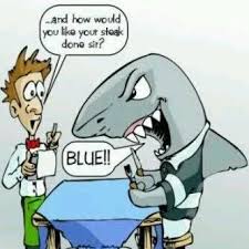 They found in swallow waters. Official Blue Bulls On Twitter Sr 80 Min Sharks Try Conversion Missed Final Score Vodacom Bulls 16 V Sharks 31