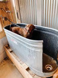 Diy Dog Wash Thermaland Oaks Dog Washing Station Dog House Diy Diy Dog Wash