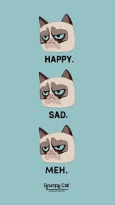Facial Expressions By Grumpy Cat The Most Poular Cat On The Internet Gives Us The Grumpiest Funniest Reactions Cat Wallpaper Grumpy Cat Cartoon Grumpy Cat