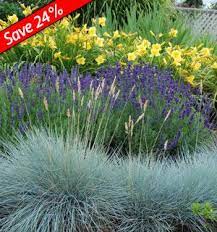 Pin On Yard And Gardening