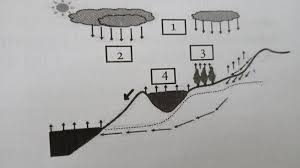 Evaporasi adalah penguapan air secara langsung dari lautan, danau, sungai, dll. 1 Perhatikan Gambar Berikut Titik Proses Evaporasi Ditunjukkan Pada Nomor A 1 B 2 C 3 D 4 Brainly Co Id