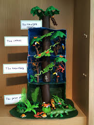 Pin On Rainforest Shoebox Project