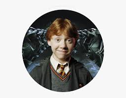 Cin dobby onu ziyaret etmiş ve okula dönmemesi için aklını çelmeye çalışmıştır. Harry Potter Ron Weasley Harry Potter 2 Hd Png Download Kindpng