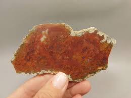 Image result for Agate Red Brown 1956 Wayne Works