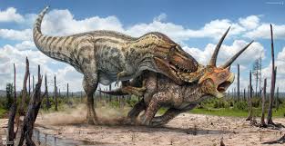 T Rex Vs Triceratops Dinosaur Art Prehistoric Animals Dinosaur