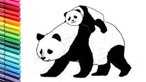 Check spelling or type a new query. Drawing And Coloring Panda Learn To Draw Wild Animals From China Color Pages For Childrens Youtube