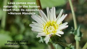 Nelson Mandel Love Favorite Quotes Photo Nelson Mandela
