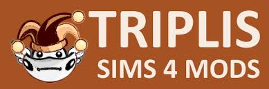 I have a 9v battery and a 7805 regulator. Become A Sorcerer Mod Triplis Sims 4 Mods