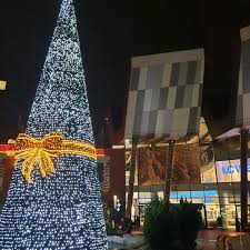 Bsg amanet baia mare banca transilvania tg jiu busola travel baia mare british council bucuresti program banca transilvania relatii spaţiul fostei farmacii tei din bulevardul lacul tei nu a stat gol mult timp farmacia la preţ mic a ocupat deja locaţia de 500 de metri pătraţi. Photos At Bebe Tei VÄcÄreÈti 2 Tips