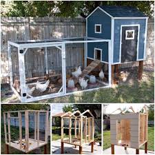 Penternak & pembekal ayam kampung asli (aka). Reban Ayam Jer Pun Cantik Dan Review Rumah Cantik Facebook